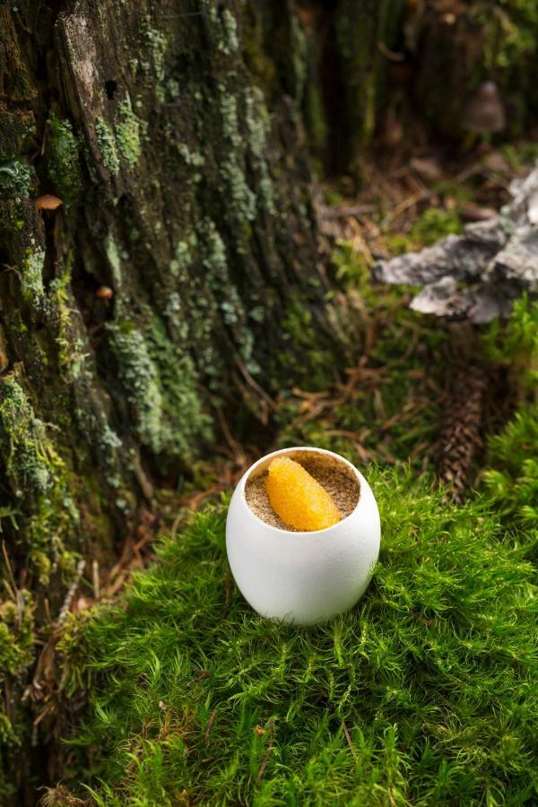 Terra - The Magic Place Relais & Chateaux Sarentino Luaran gambar